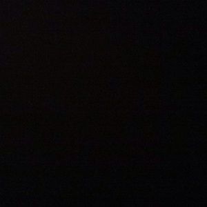 Meet your Posher, Nina